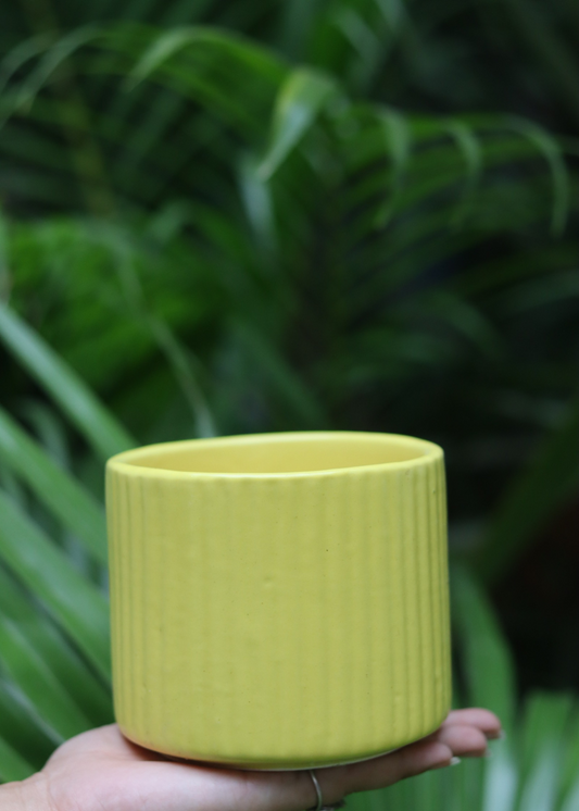 Small Yellow Lined Planter