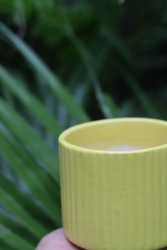 Handmade yellow lined planter in hand 