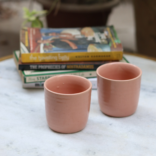 Set of two - Dusty Pink Kulhad