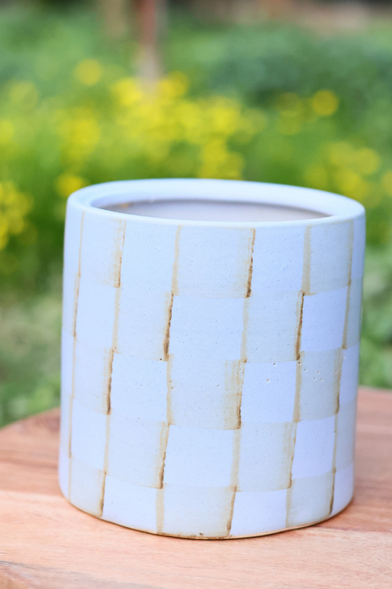 Blue checks planter on a wooden surface