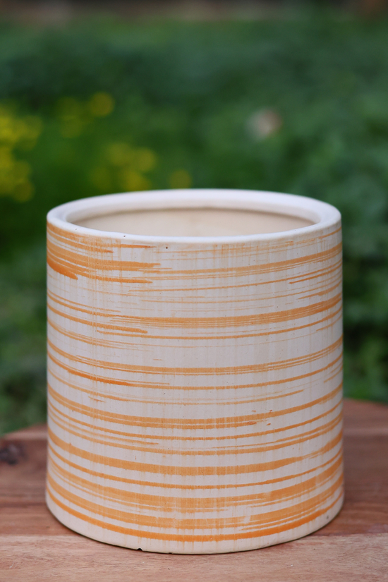 Mellow yellow plant pot  
