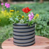 Grey spiral planter with plants 