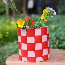 Red Checks Planter With Plant