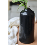 Black tall vase with plant