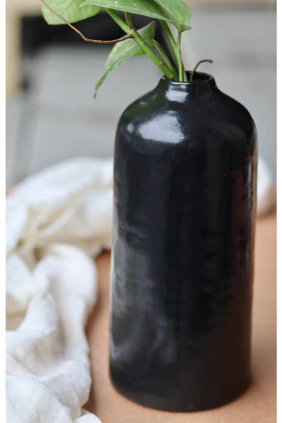 Black tall vase with plant