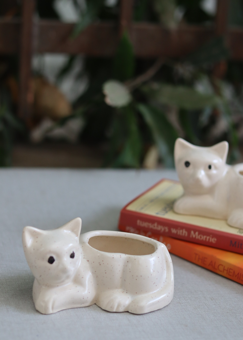 Cat succulent planter 
