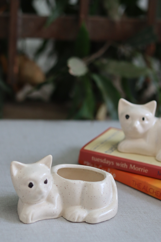 Cat succulent planter 
