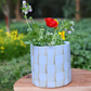 Blue Checks Planter