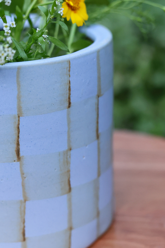 Closeup shot of blue checks planter