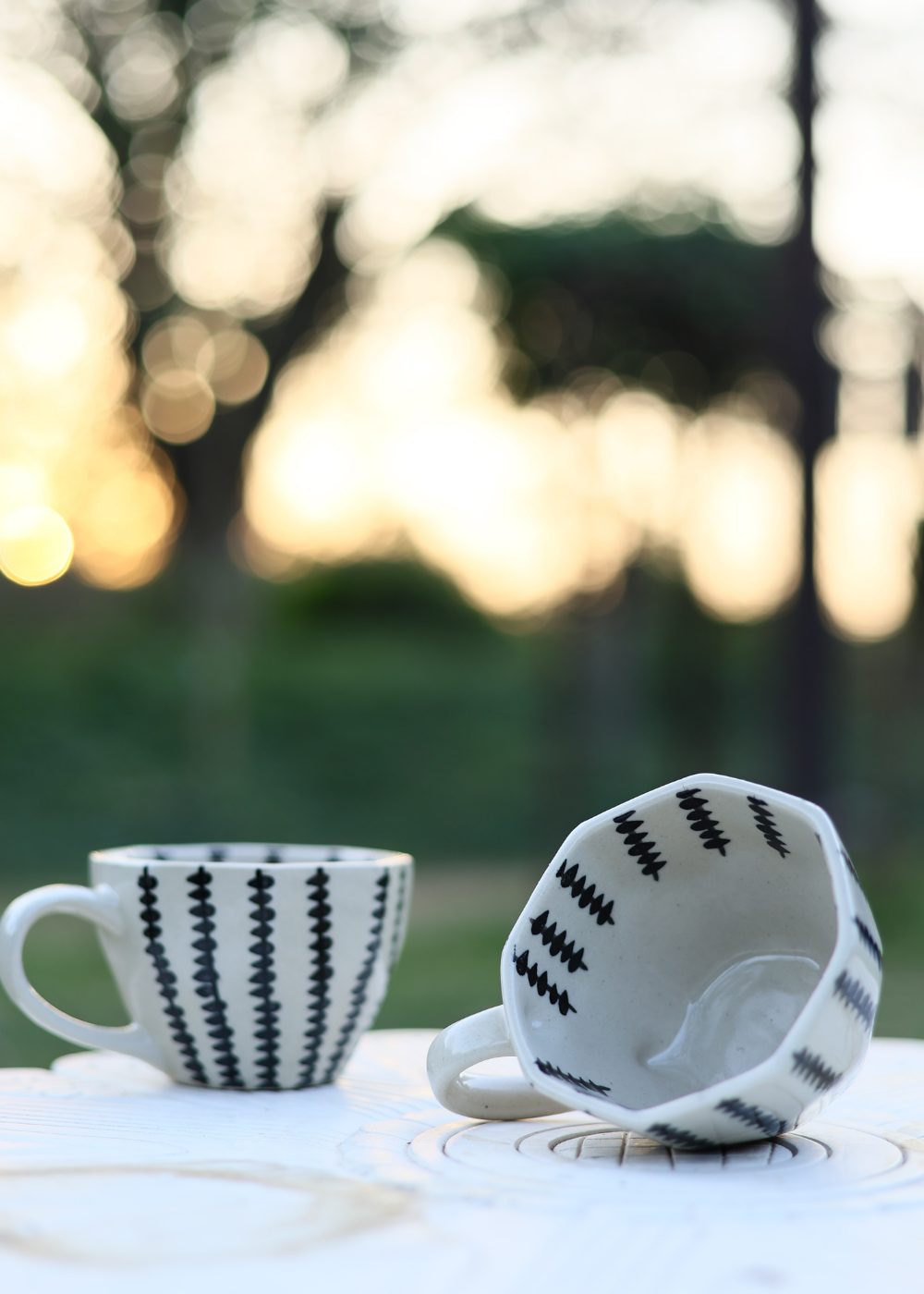Two coffee mugs in a garden