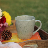 Speckled Grey Mug