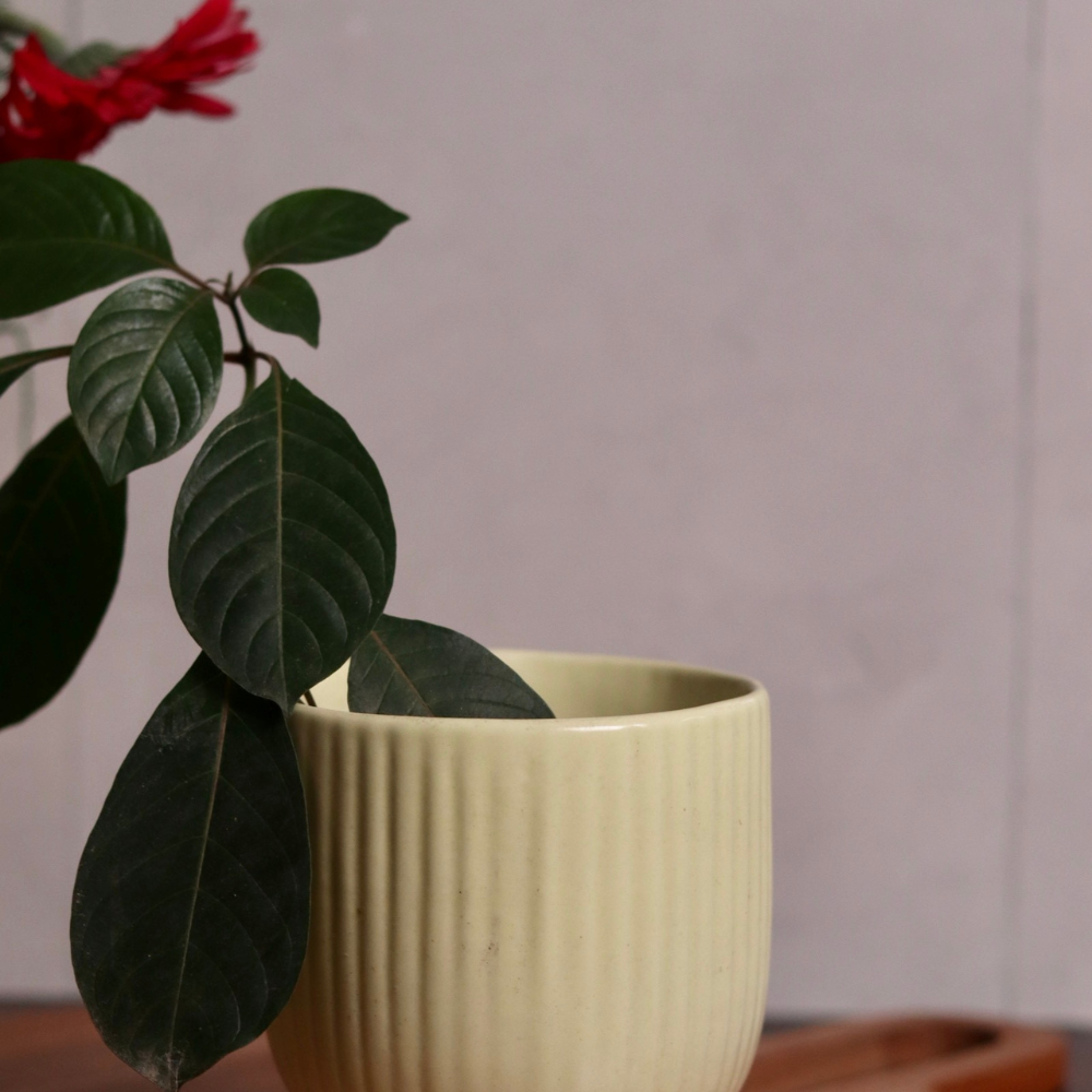 Ceramic round lined planter  