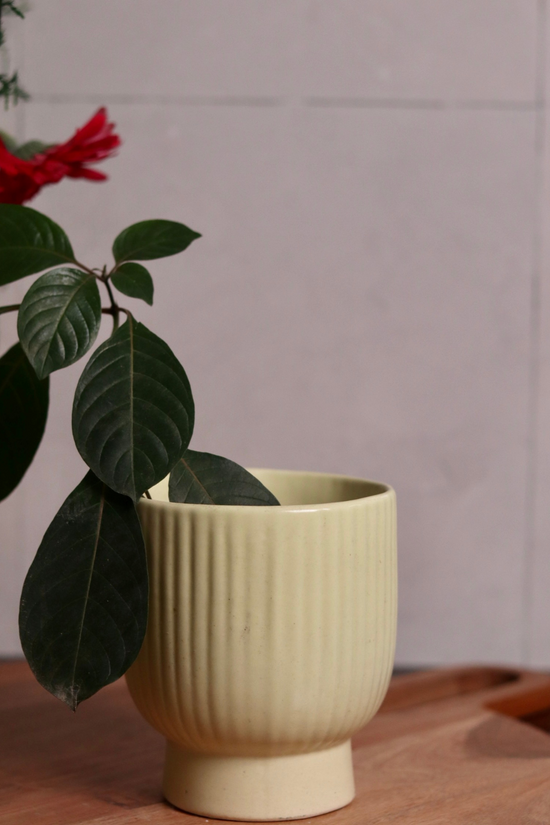 Ceramic round lined planter  
