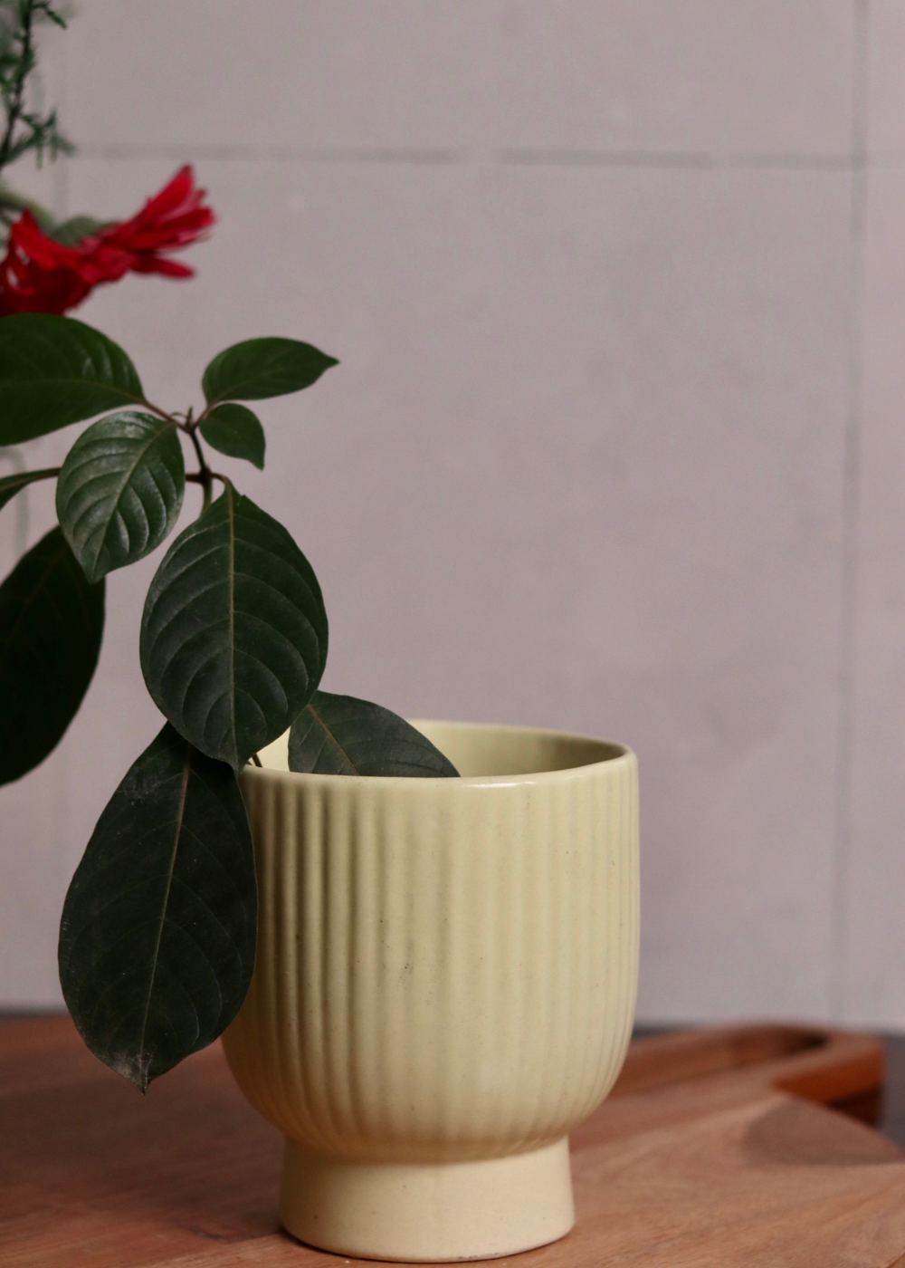 Ceramic round lined planter  