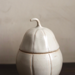 Ceramic garlic jar 