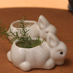 Handmade ceramic rabbit planter 