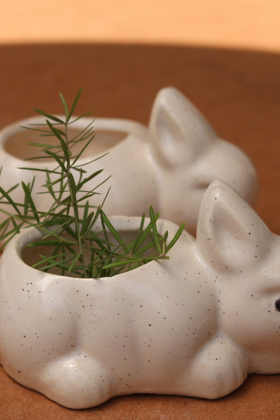 Handmade ceramic rabbit planter 