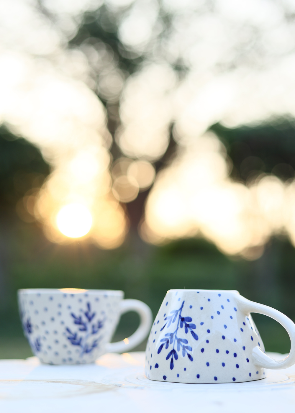 Two blue leaf coffee mug in garden