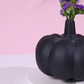 Black Pumpkin Bud Vase