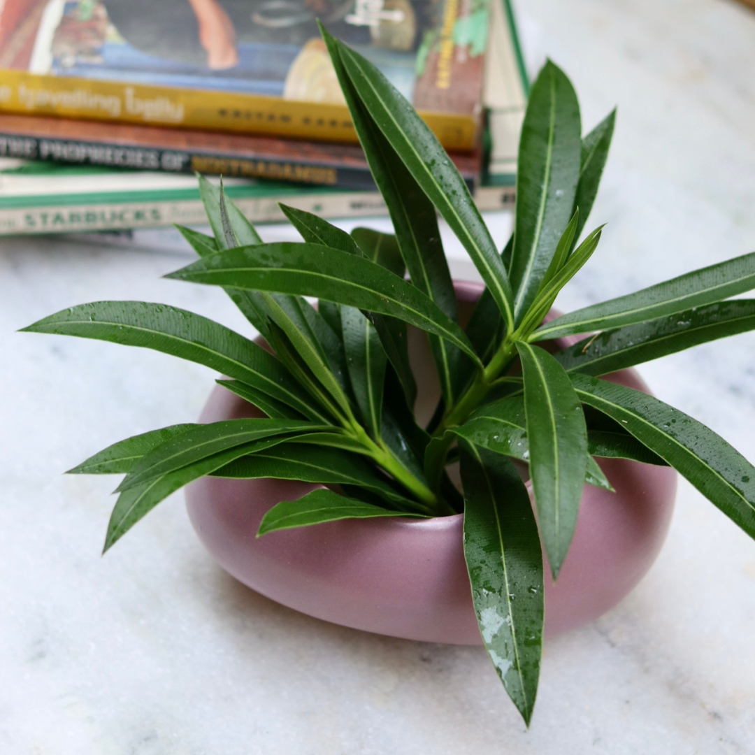 Handmade ceramic planter 