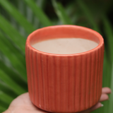 Small Rust Lined Planter In Hand