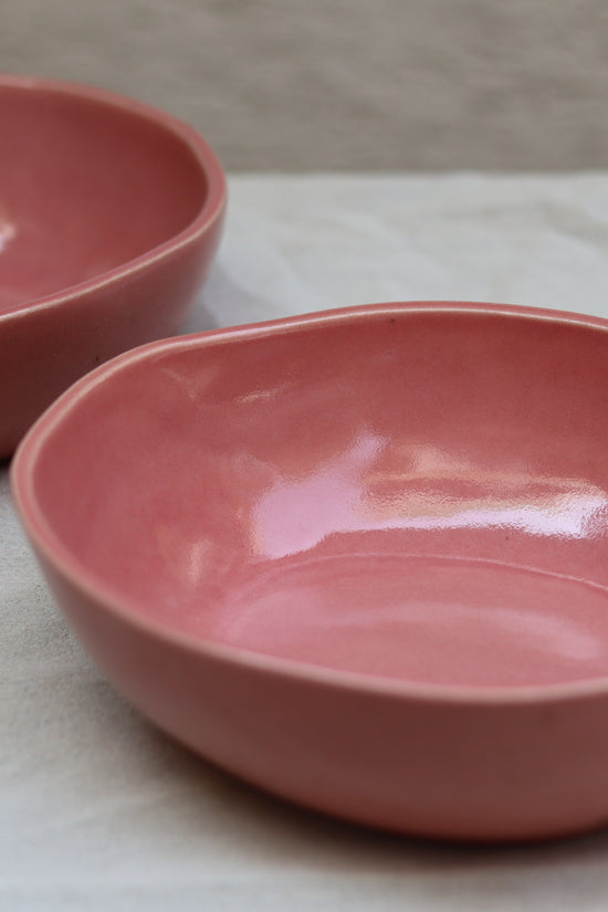 Two pink curry bowls 