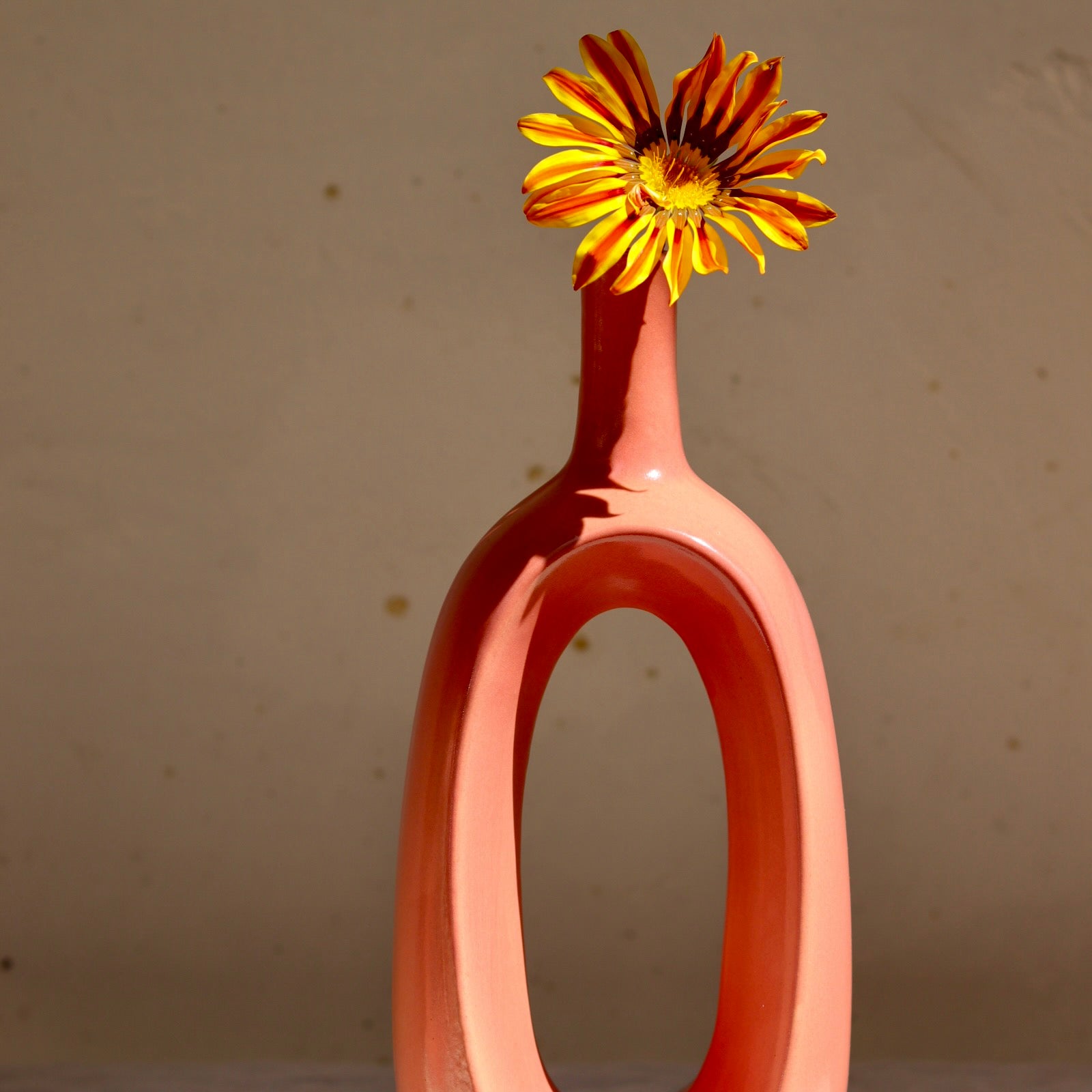 Pink contour vase with flower