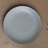Quater plate ceramic top shot