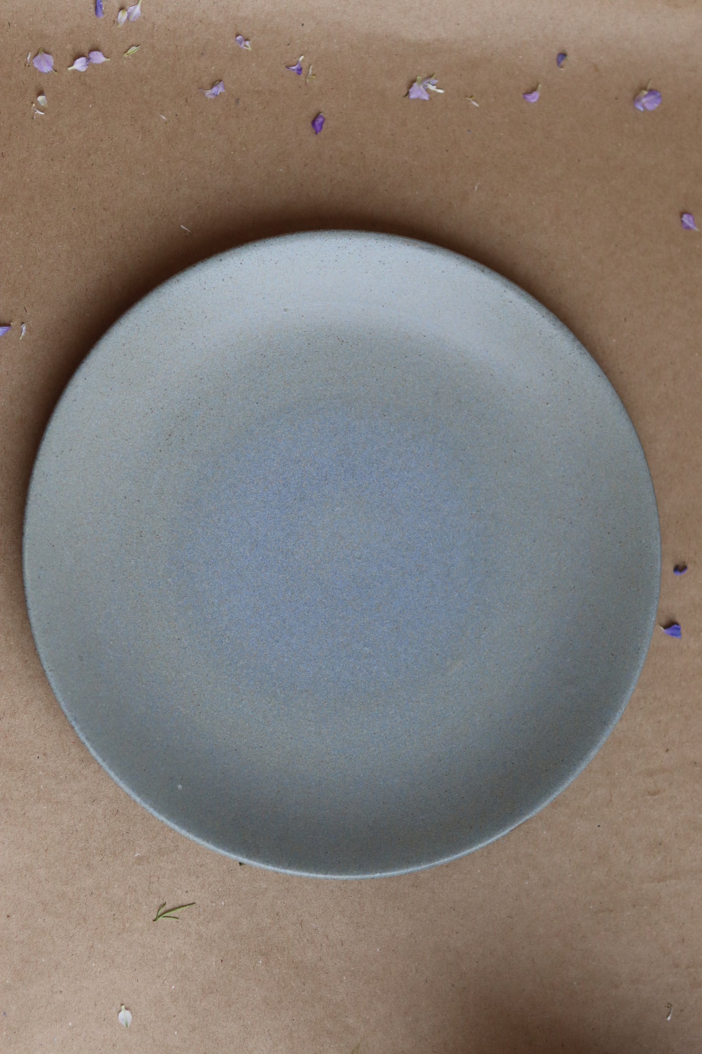 Earthy Dinner Plate