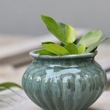 Green ceramic kalash planter with plant
