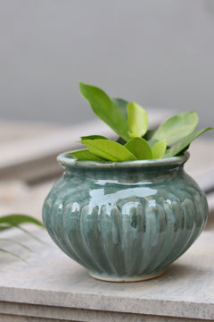 Green ceramic kalash planter with plant