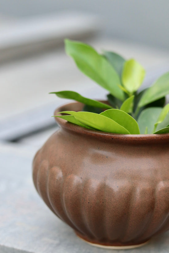 Brown kalash planter handmade ceramic