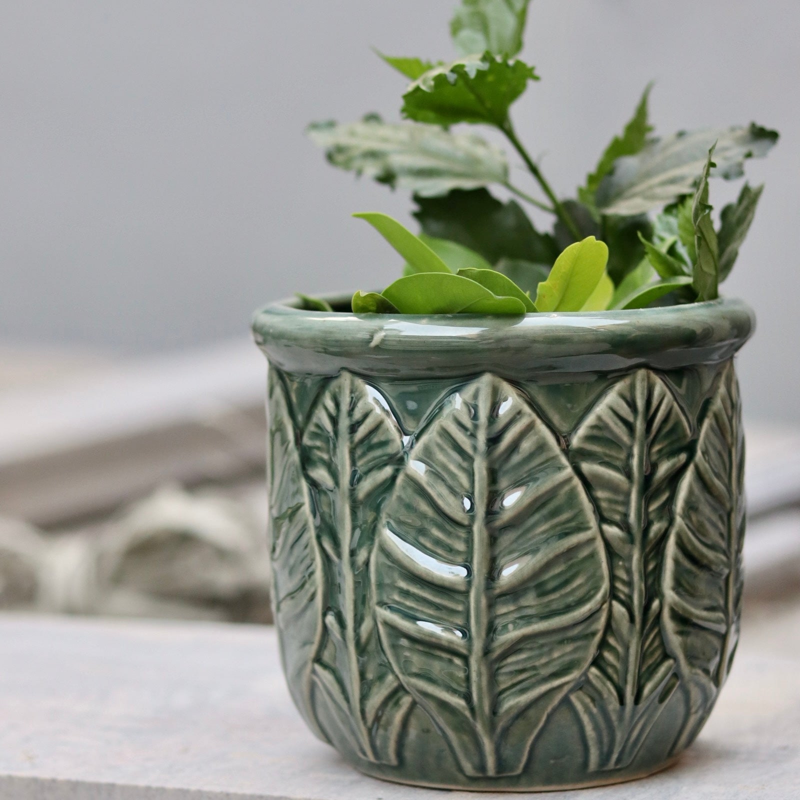Handmade ceramic green leaf planter