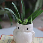 Owl planter with plant