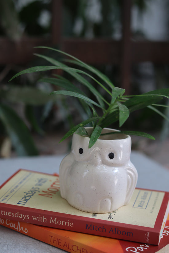 Handmade ceramic planter 