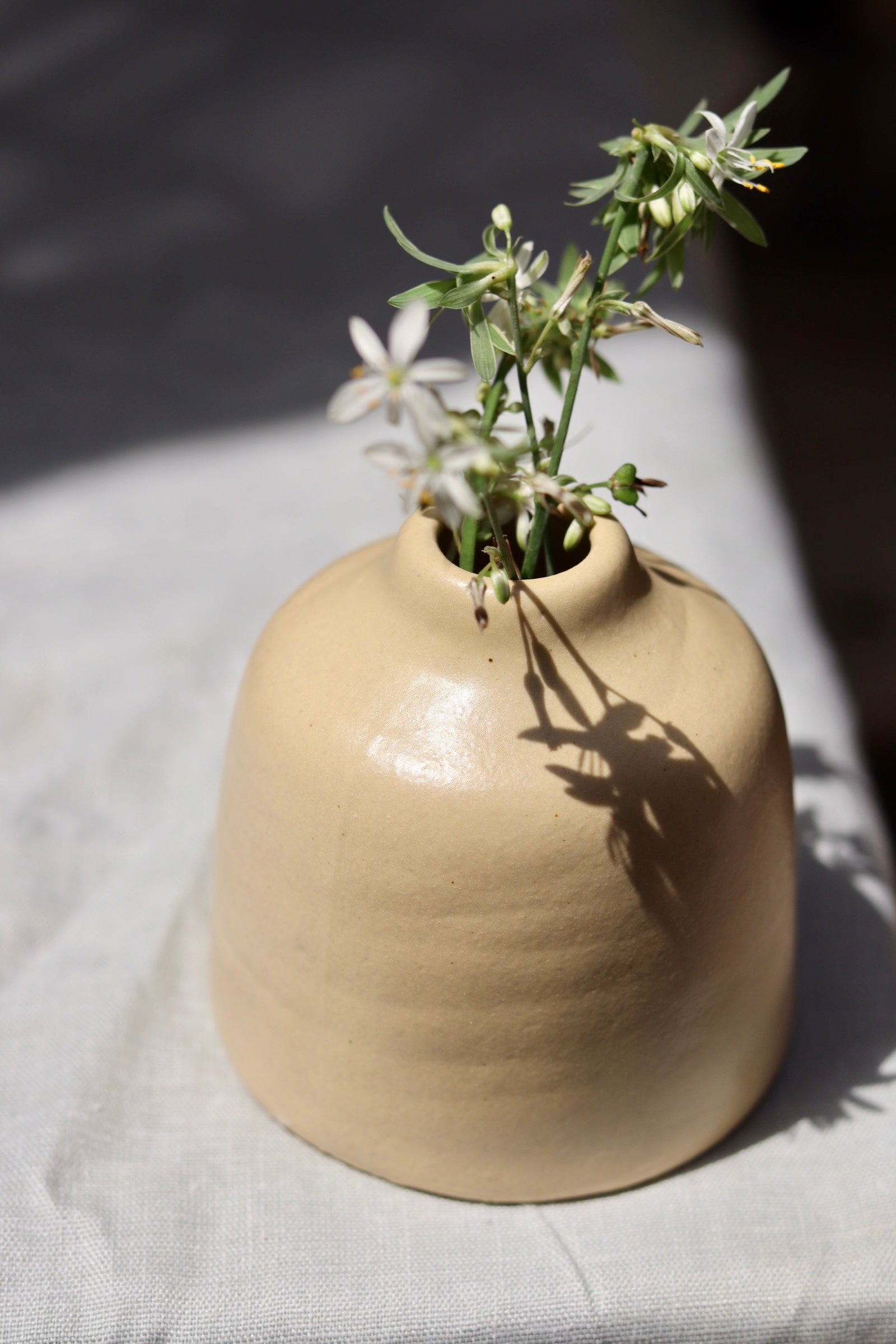 Bud vase with plant