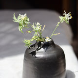 Black Bud Vase - Short