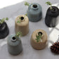 Black Bud Vase - Short