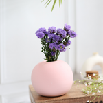 Pink round planter with flowers