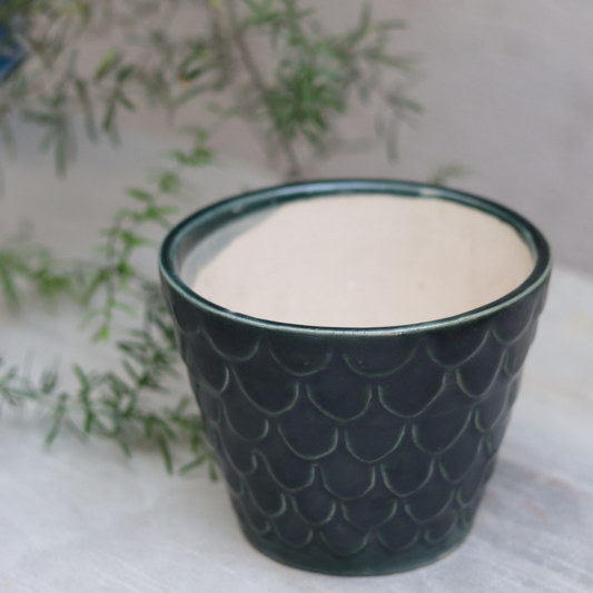 Green Shell Planter