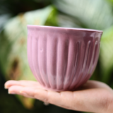 Ceramic planter in hand 