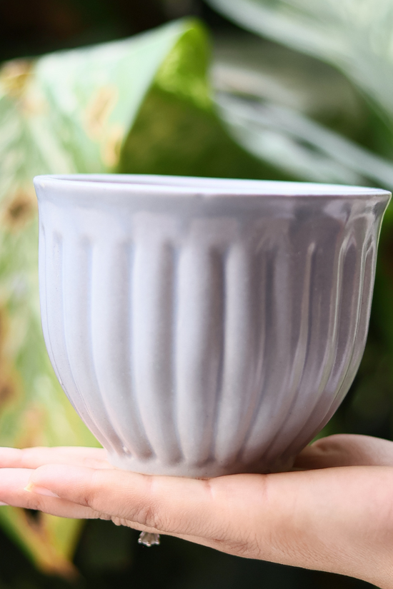 Grey planter in hand 
