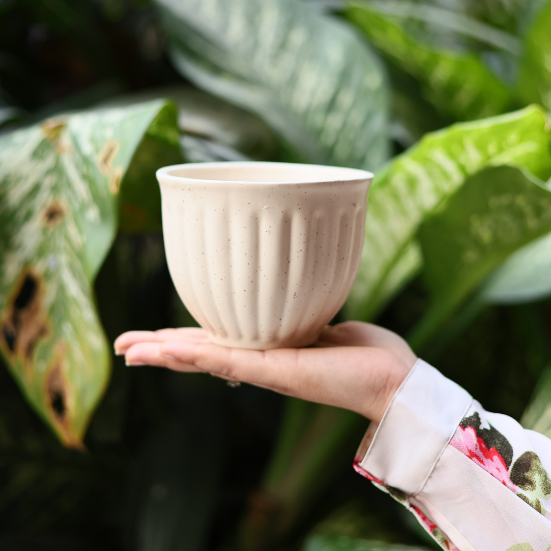 Cream planter in hand 