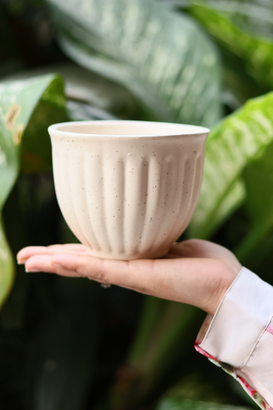 Cream planter in hand 