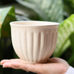Ceramic cream planter on hand