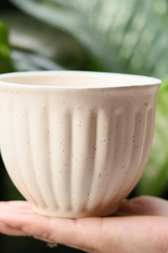 Ceramic cream planter on hand