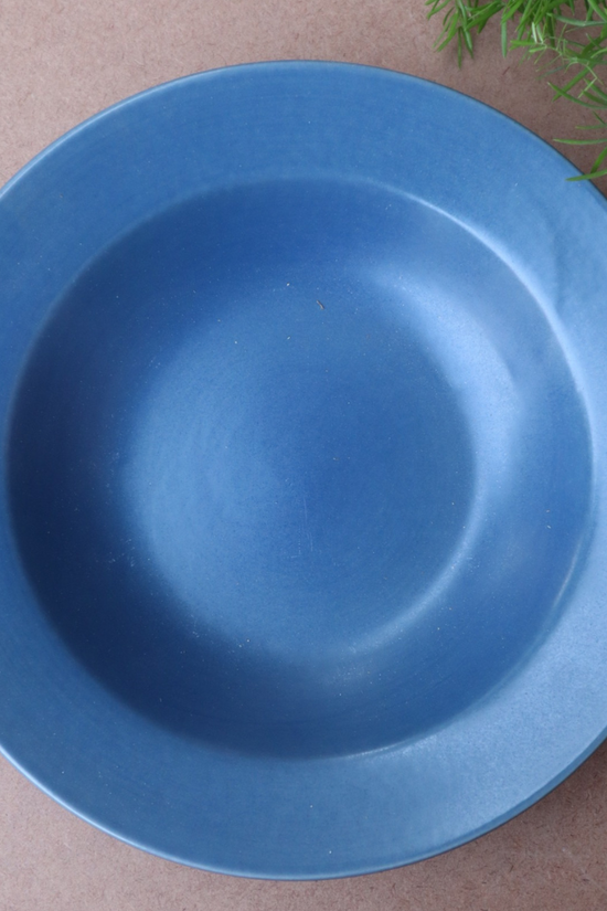 Blue pasta plate with plant 