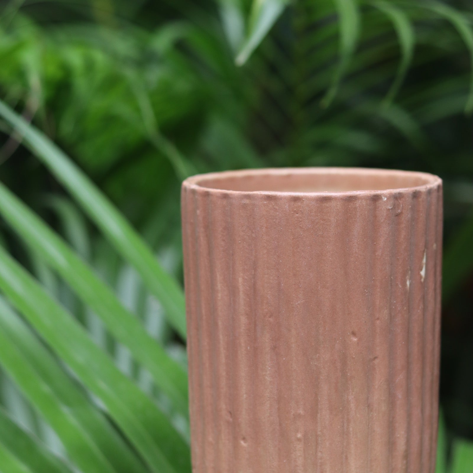 Brown lined planter in hand