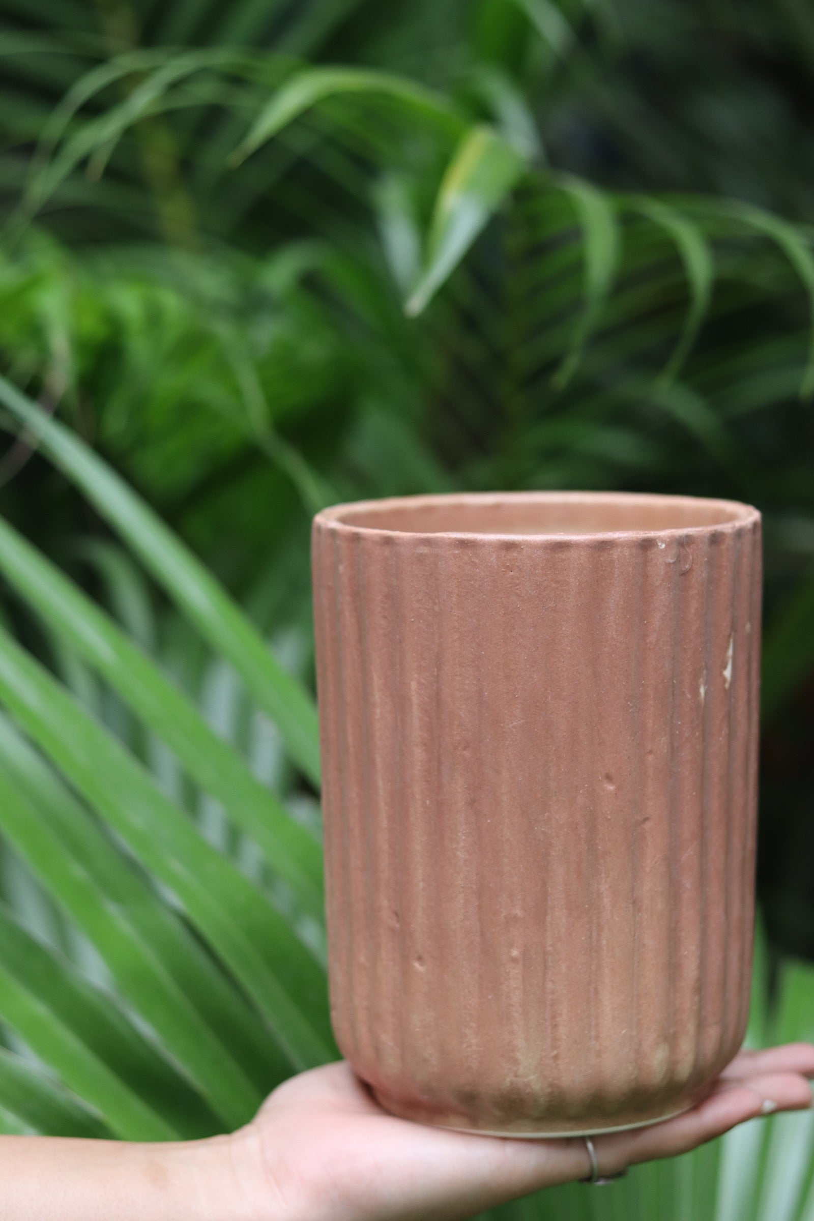 Brown lined planter in hand